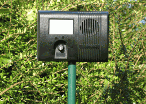 Garden Protector Ultraschall Katzenschreck mit Erdstab im Garten